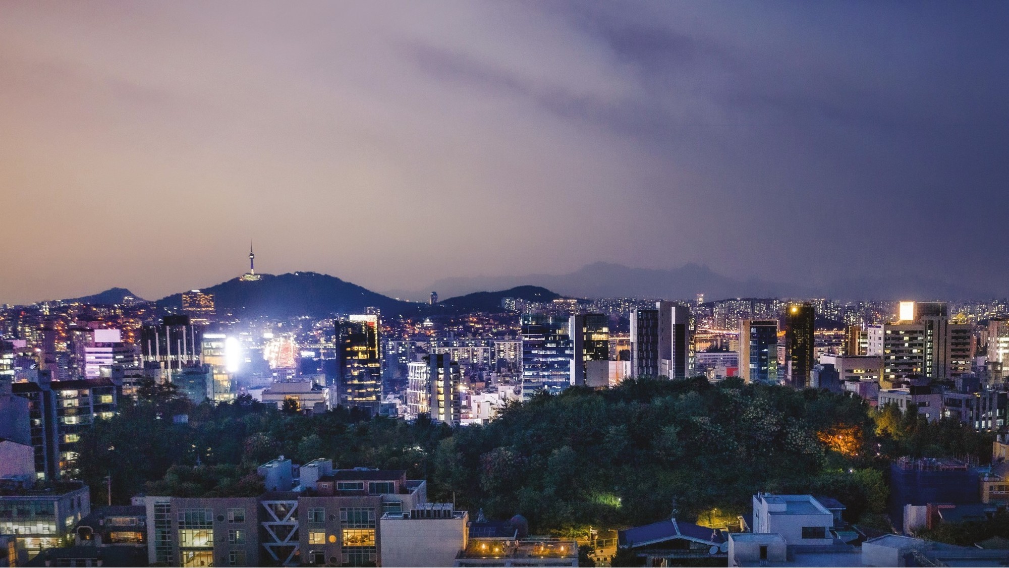 이미지명